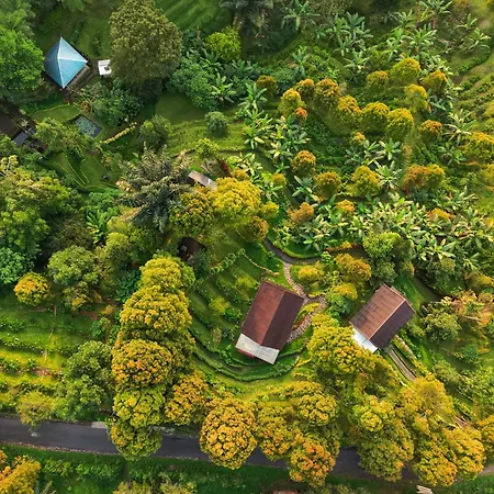 Garden Terrace Bali