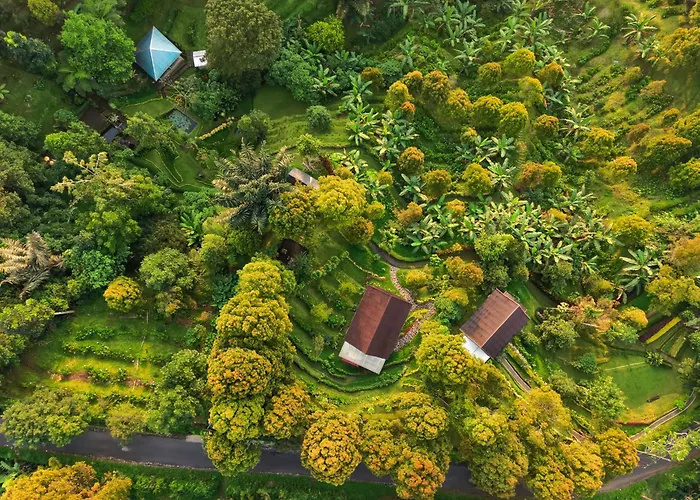 Garden Terrace Bali ベッド・アンド・ブレックファスト 3*