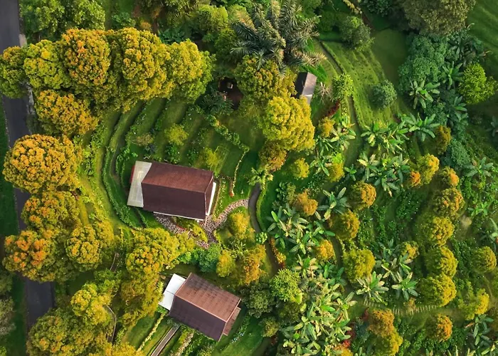 Garden Terrace Bali